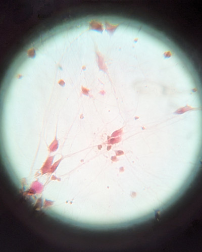 PXL_20240722_061511791