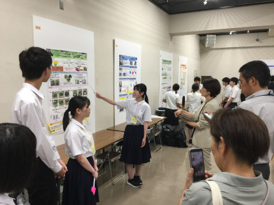 ポスター（アイスプラント）