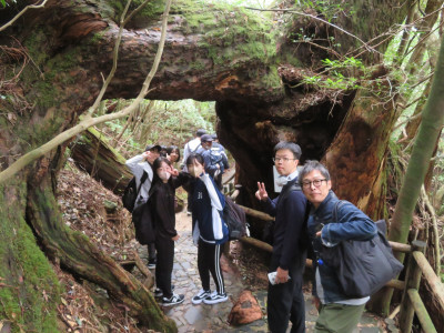 ①ヤクスギランド２